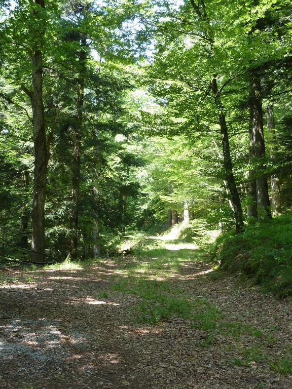 Gasthaus Zum Schwanen اولينغين-بيركيندورف المظهر الخارجي الصورة